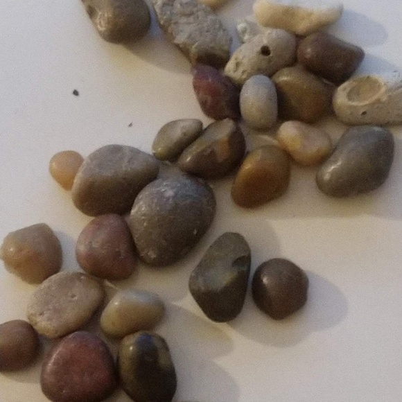 Meet your Posher, Tarik - Picture 8 of 8